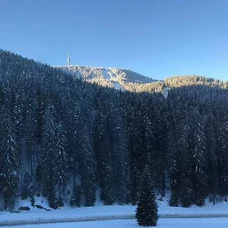 Пампорово Елит Апартамент 69 * Pamporovo
